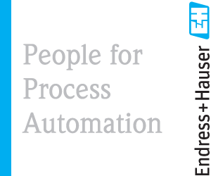 Endress+Hauser Flowtec AG