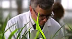 Syngenta Crop Protec...