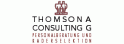 Thomson Consulting AG