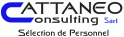 Cattaneo Consulting