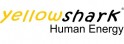 yellowshark