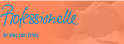 Professionelle Personalberatungs AG
