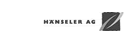 H�nseler AG