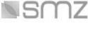 smz consulting GmbH
