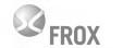 FROX communication AG