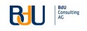 BdU Consulting AG